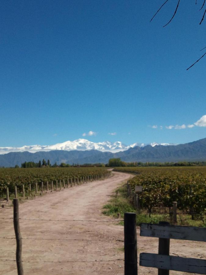 Loft Los Cerezos En Vistalba, Zona De Vinedos Y Bodegas Lujan de Cuyo Ngoại thất bức ảnh